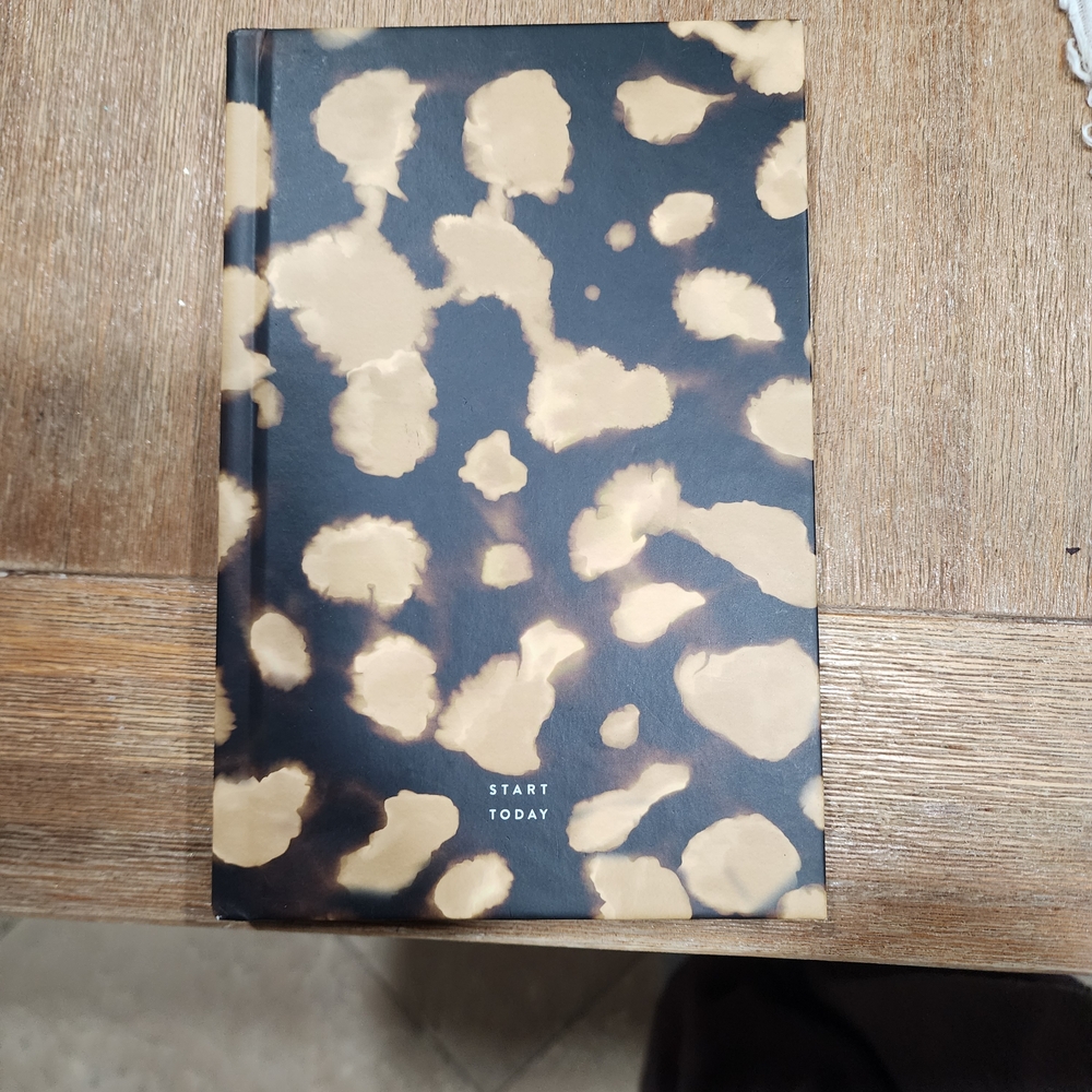 Rachel Hollis "Start Today" - Journal